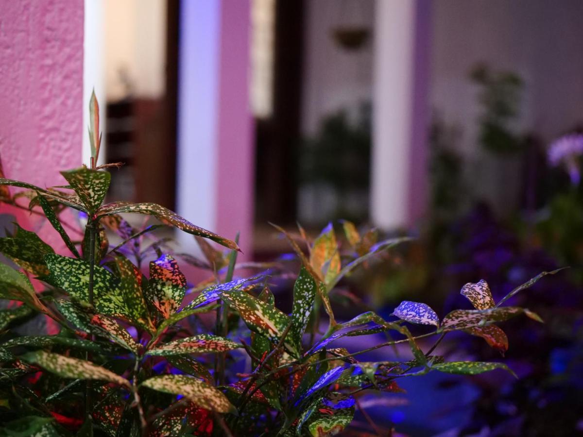 Elegance Oasis, Colombo 3酒店 外观 照片